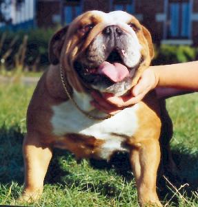 Taratata Des terres du doux lieu