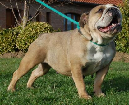 Agatha Des terres du doux lieu