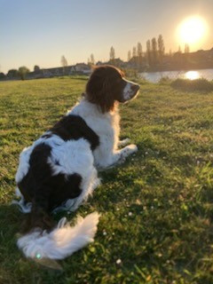 Titan de la vallée de la seulles